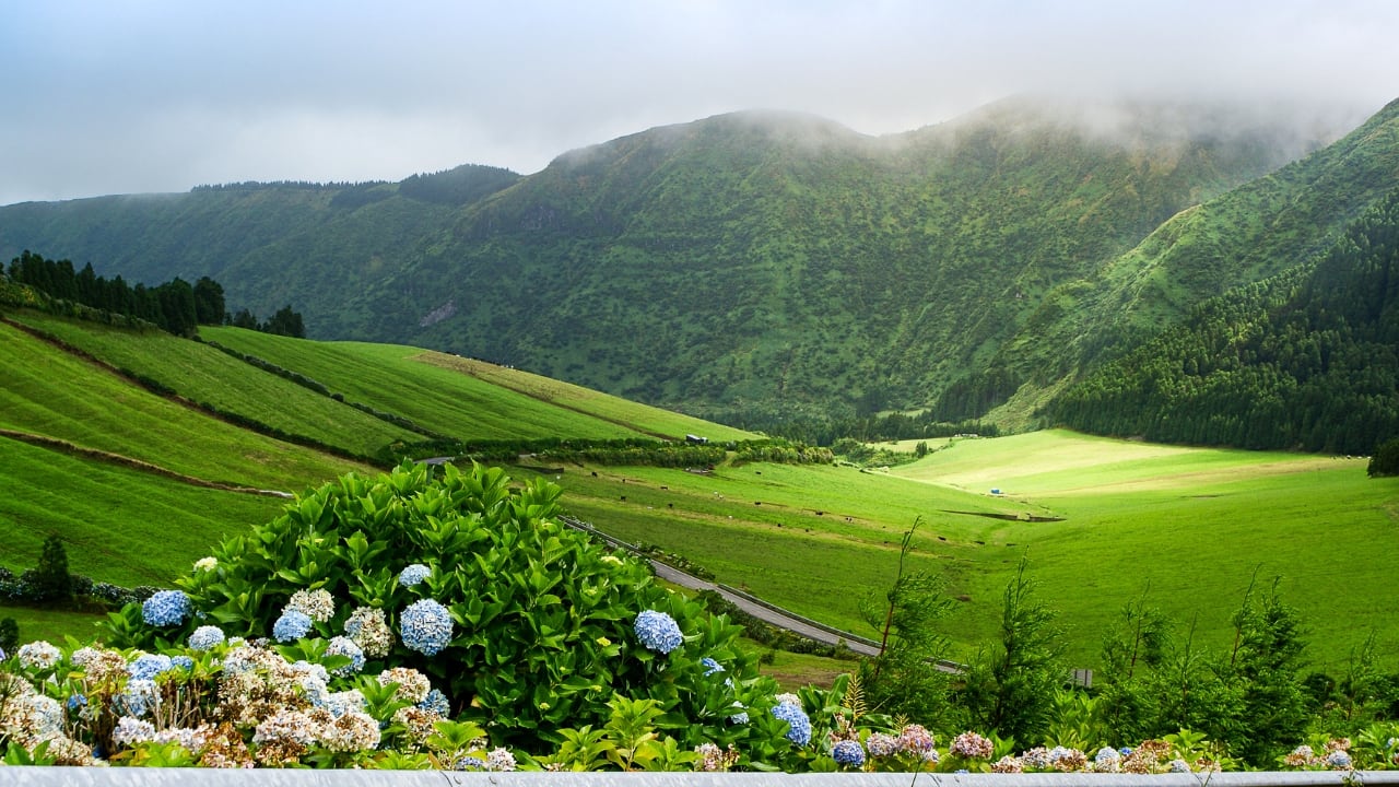 These ten European islands remind us that paradise doesn’t need to come with packed beaches and overbooked resorts. From Arctic tundras to Aegean hideaways, they offer travellers a rare luxury: space. So if your idea of the perfect summer getaway includes solitude, authenticity, and unfiltered beauty—skip the crowds and sail toward the quieter side of Europe. (Image: Canva) These ten European islands remind us that paradise doesn’t need to come with packed beaches and overbooked resorts. From Arctic tundras to Aegean hideaways, they offer travellers a rare luxury: space. So if your idea of the perfect summer getaway includes solitude, authenticity, and unfiltered beauty—skip the crowds and sail toward the quieter side of Europe. (Image: Canva)