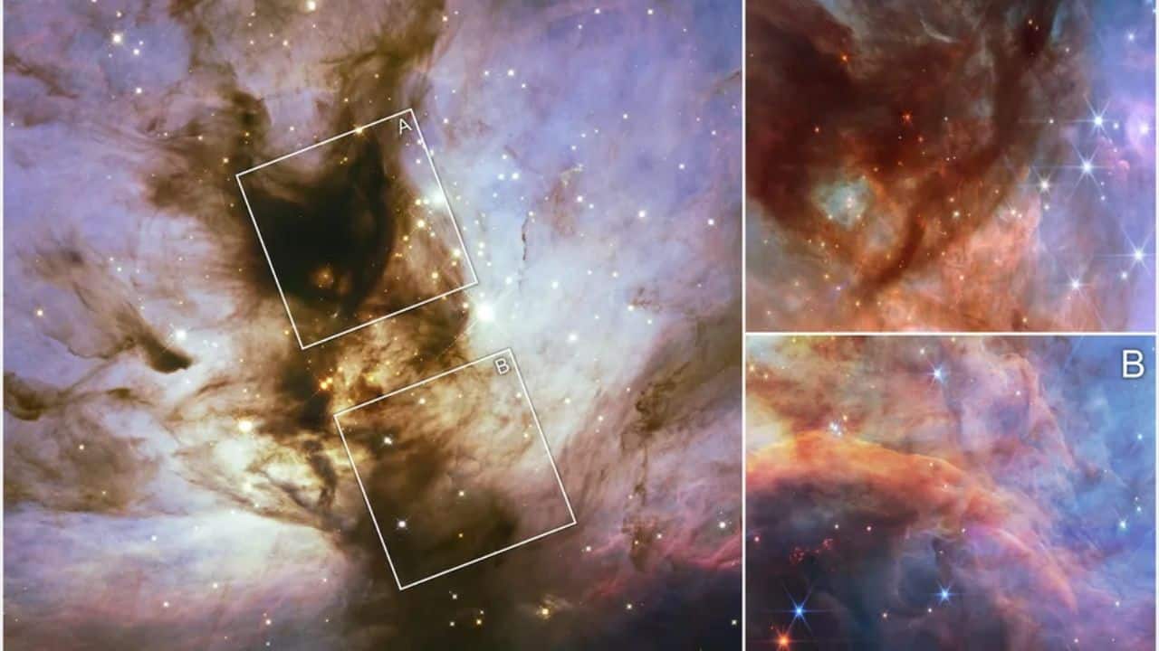 Orion Nebula: The James Webb Space Telescope reveals dim brown dwarfs, or "failed stars," hidden in Orion’s Flame Nebula, helping astronomers understand why some stars never ignite. (Image: NASA) Orion Nebula: The James Webb Space Telescope reveals dim brown dwarfs, or "failed stars," hidden in Orion’s Flame Nebula, helping astronomers understand why some stars never ignite. (Image: NASA)