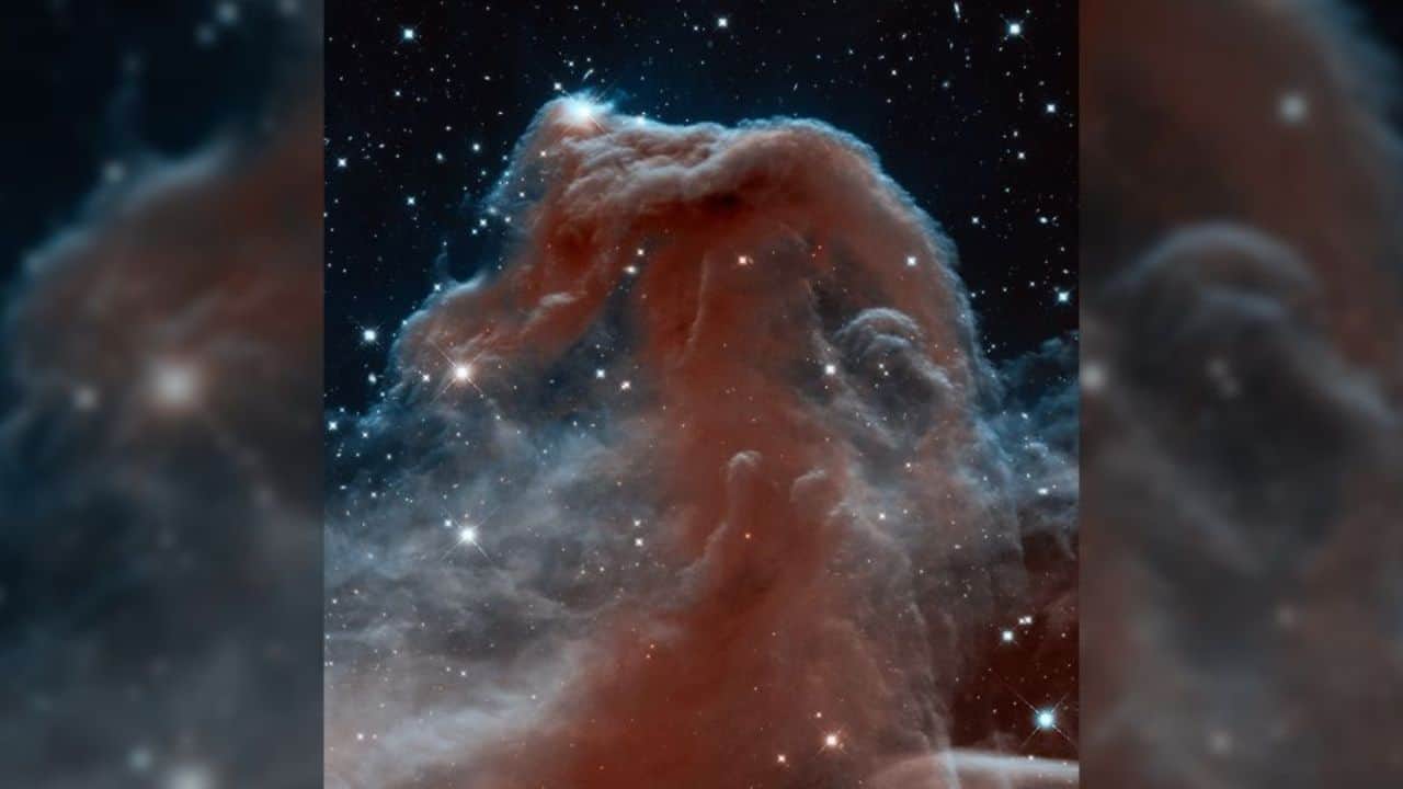 Horsehead Nebula: The Horsehead Nebula in Orion is a well-known, widely photographed cosmic cloud that appears transparent in infrared but looks dark red in visible light, according to NASA. (Image: NASA)