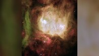 <strong>Ghost Head Nebula:</strong> The Ghost Head Nebula is a vibrant star-forming region, glowing red and green due to light emitted by hydrogen and oxygen gases. (Image: NASA)