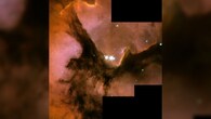 <strong>Trifid Nebula:</strong> First observed in 1764, this nebula lies 7,000 light-years away and teems with star-forming activity, featuring dark cores known as stellar incubators' where stars are born in abundance. (Image: NASA)