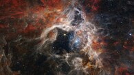 <strong>Tarantula Nebula:</strong> Also called 30 Doradus, the Tarantula Nebula is the biggest and brightest star-forming region in the Local Group, which includes the Milky Way, Andromeda and about 20 smaller galaxies. (Image: NASA)