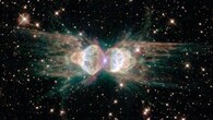 <strong>Ant Nebula:</strong> The Ant Nebula gets its name from its shape, which resembles an ant’s head and thorax. A dying sunlike star at its centre hints at our Sun’s distant future. (Image: NASA)