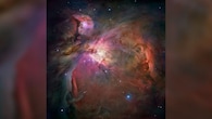 <strong>Orion Nebula:</strong> The Orion Nebula, just 1,500 light-years away, is the nearest stellar nursery to Earth. Positioned near Orion's Belt, it's visible to the naked eye — especially during January nights. (Image: NASA)