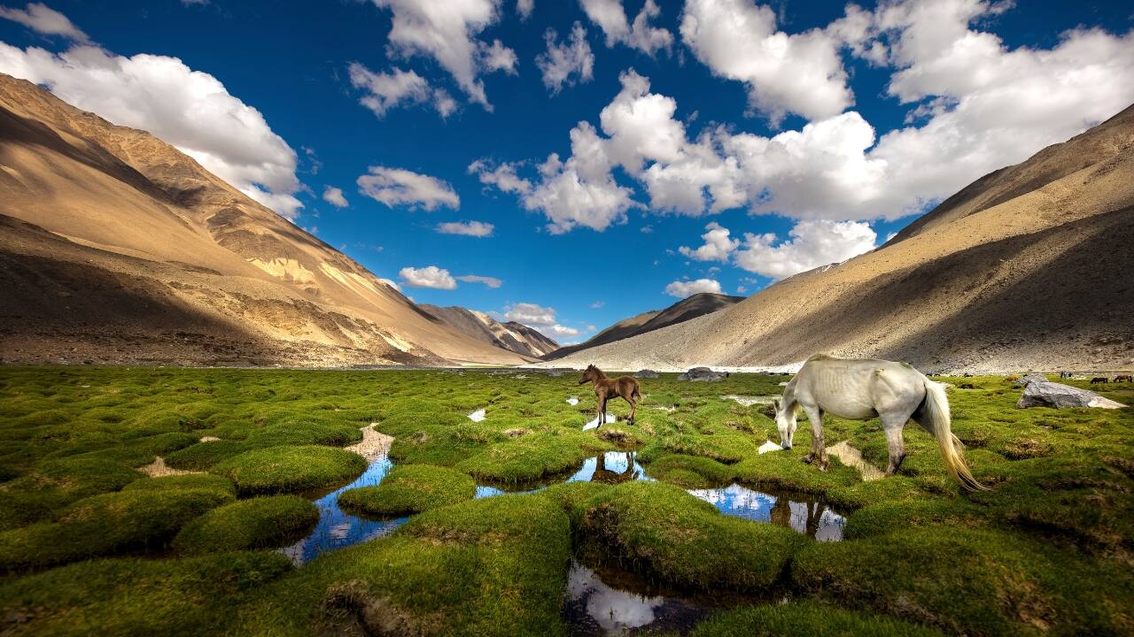 9. Pangong Tso – The Legendary Blue Lake No trip to Ladakh is complete without visiting Pangong Tso, its most iconic lake. Stretching into China, its color-shifting blue waters make for a mesmerizing sight—especially at sunrise or sunset. (Image: Canva)