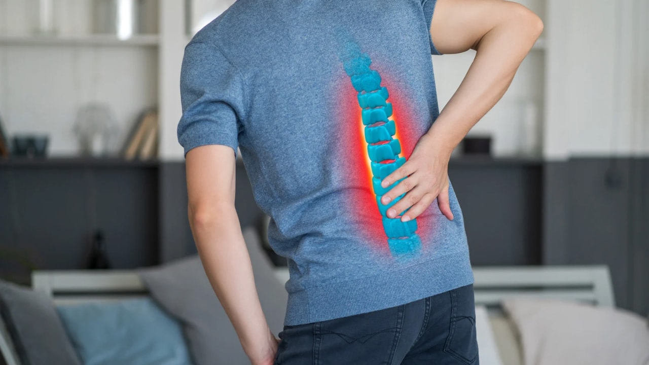 Human body's ‘design flaws’ are products of evolution, scientists explain