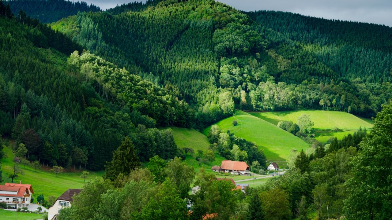 2. Black Forest, Germany Famous for its fairy-tale charm, the Black Forest offers dense pine trees, picturesque villages, and scenic hiking trails. Visitors can enjoy cuckoo clocks, local folklore, and traditional German cuisine amidst misty hills and sparkling lakes. (Image: Canva)