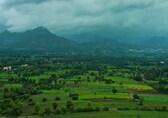 Early sowing data shows India has much to cheer about this monsoon