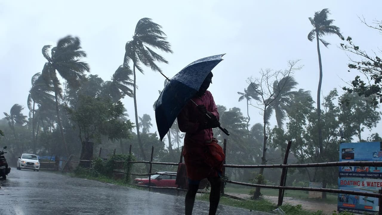 Kerala weather: IMD predicts heavy rain, thunderstorms in multiple districts