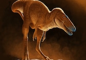 New T-Rex ancestor discovered in drawers of Mongolian institute