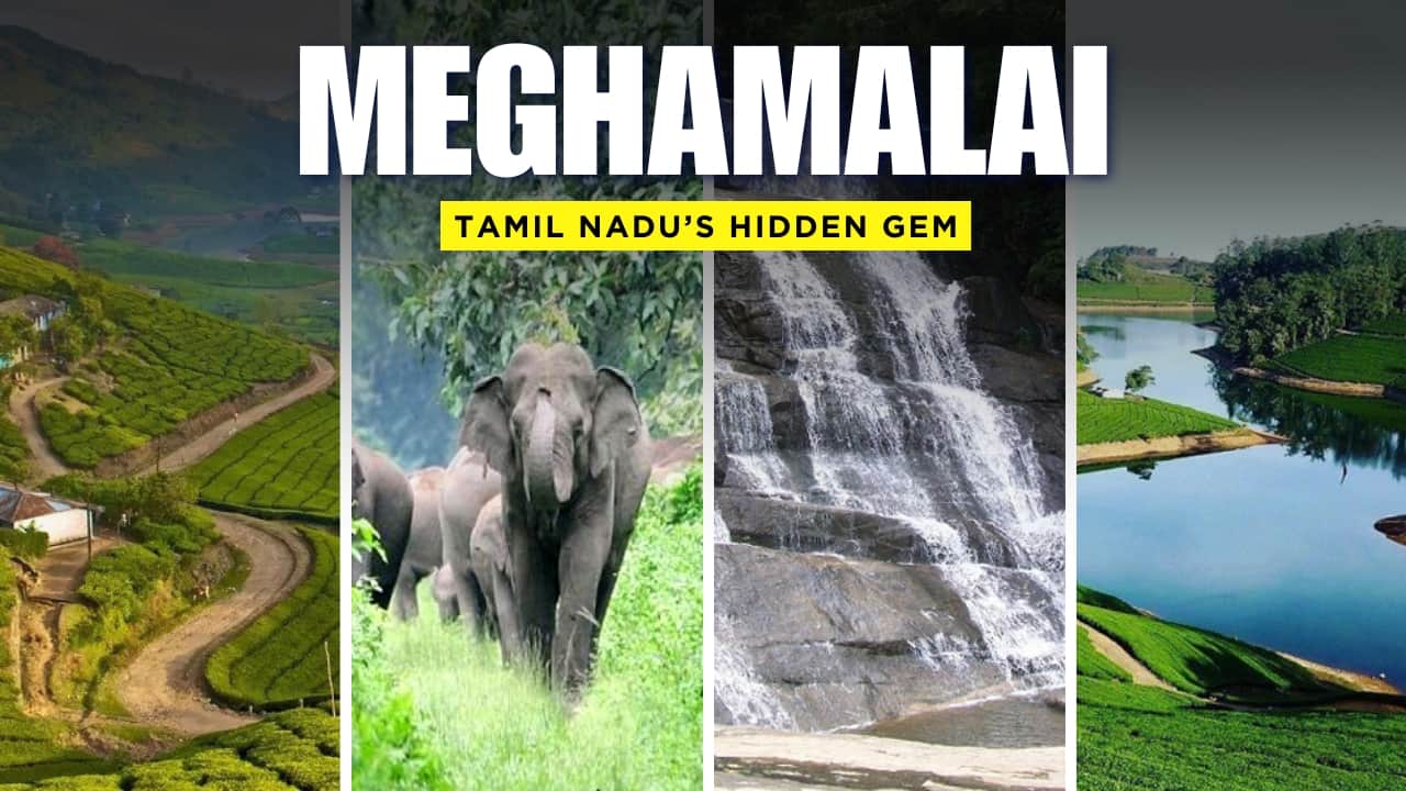 Meghamalai: Tamil Nadu’s Best-Kept Secret Hidden High in the Western Ghats