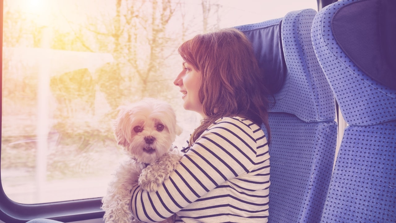 How to book IRCTC train tickets for your pet