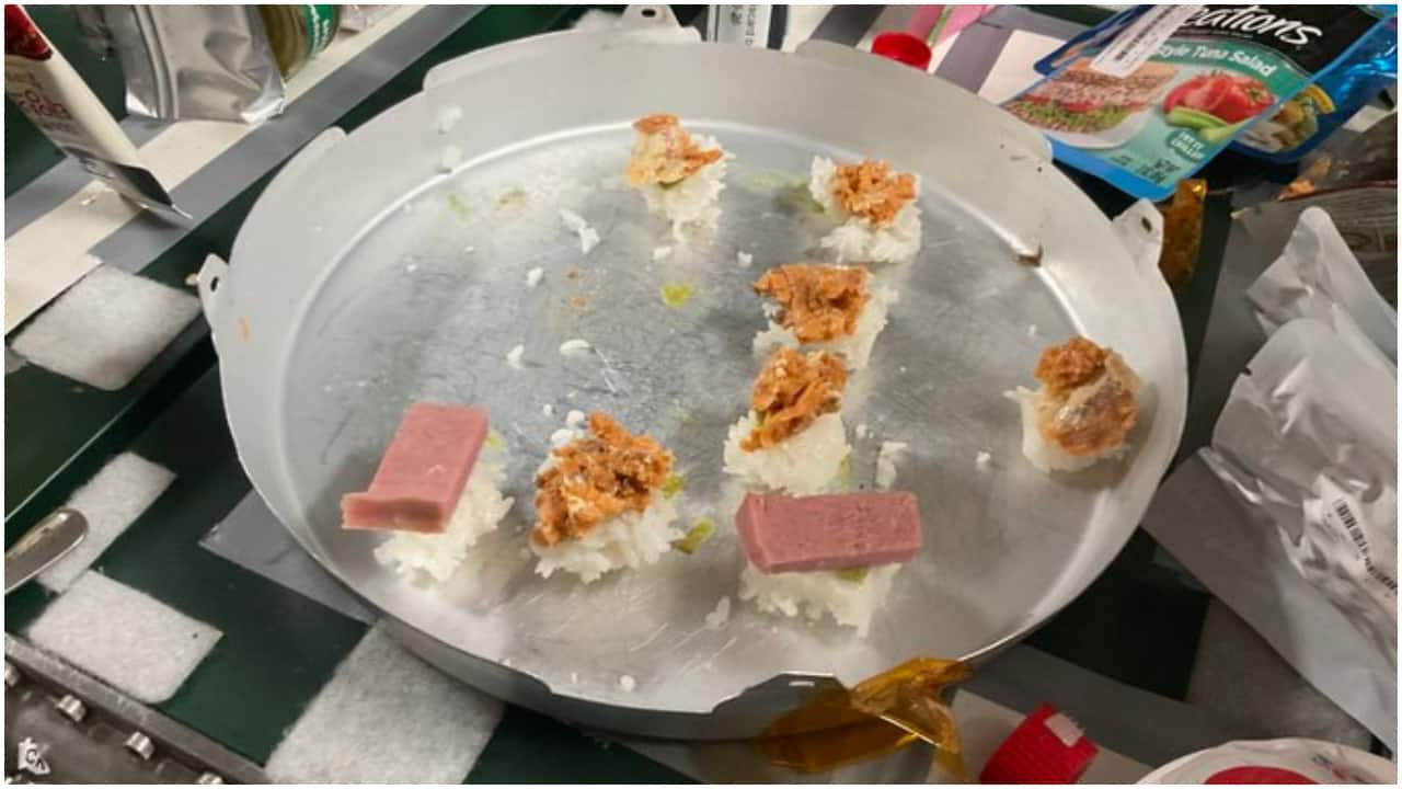 Sushi at zero gravity: NASA astronauts celebrate with creative meal on ISS