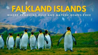 10 reasons to visit Falkland Islands - the penguin capital of the world
