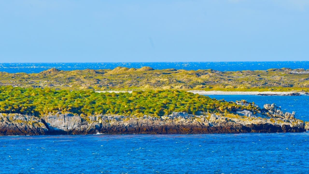 10 reasons to visit Falkland Islands - the penguin capital of the world