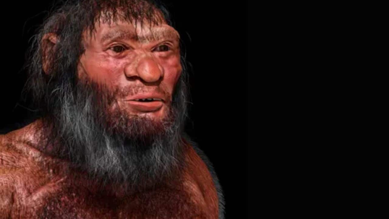 Mysterious ‘dragon man’ skull from China not a new species – Here’s the truth