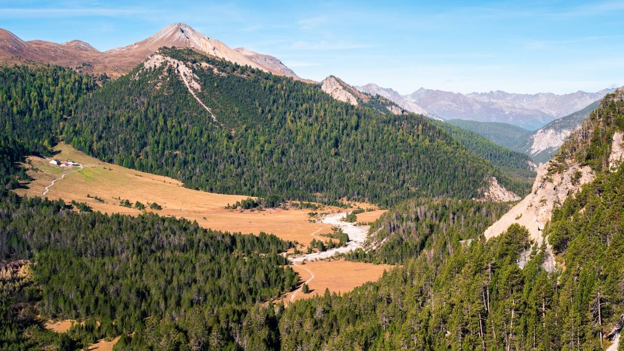 1. Swiss National Park, Switzerland: Where the Alps still belong to the animals This isn’t Switzerland polished up for tourists—it’s nature unfiltered. The country’s first and only national park, tucked away in the Engadine Valley, is a high-altitude wilderness where ibexes cling to cliffs and marmots whistle through meadows. The trails are strict—no straying off them—but the reward is Alpine beauty that feels almost prehistoric. (Image: Canva)