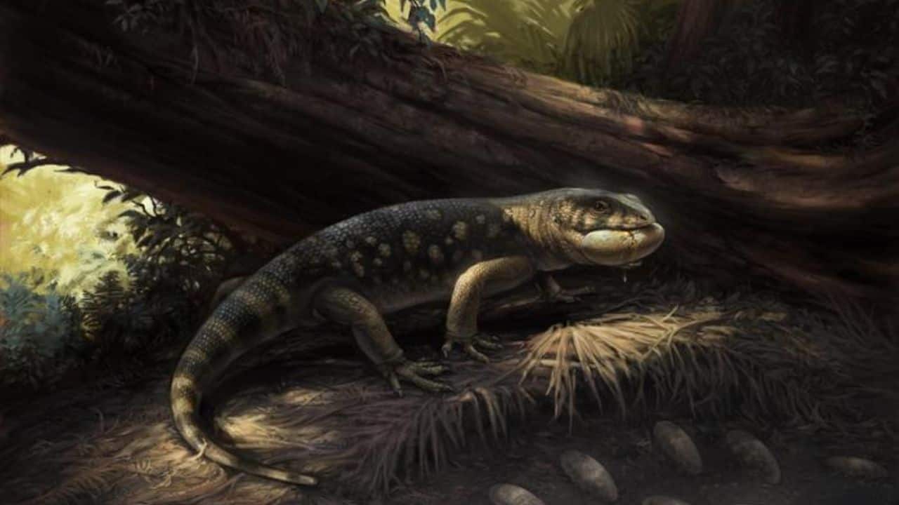 Armoured monstersaur lizard species from the dinosaur era discovered in Utah