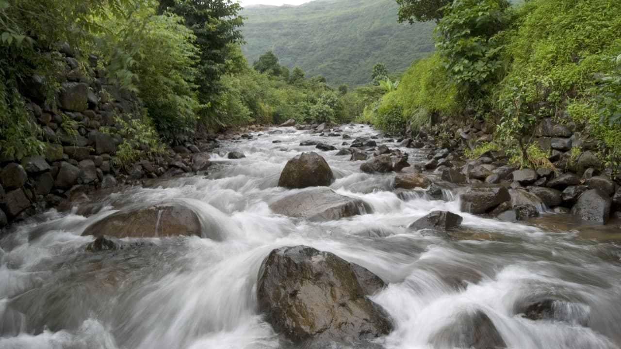 Devkund Waterfall, Tamhini Ghat, and Secret Point in Maharashtra Closed to Tourists Until September 30 Amid Monsoon Safety Concerns (Image: Canva)