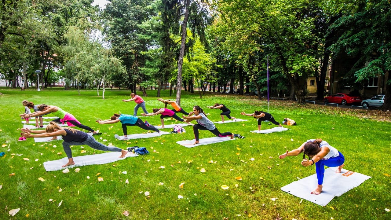 These retreats—chosen not for trend, but for their power to quiet the noise and reconnect the self—offer more than postcards or itineraries. They invite stillness. They honour breath. And most importantly, they remind us that the journey worth making this International Yoga Day may not be outward—but inward. (Image: Canva) These retreats—chosen not for trend, but for their power to quiet the noise and reconnect the self—offer more than postcards or itineraries. They invite stillness. They honour breath. And most importantly, they remind us that the journey worth making this International Yoga Day may not be outward—but inward. (Image: Canva)