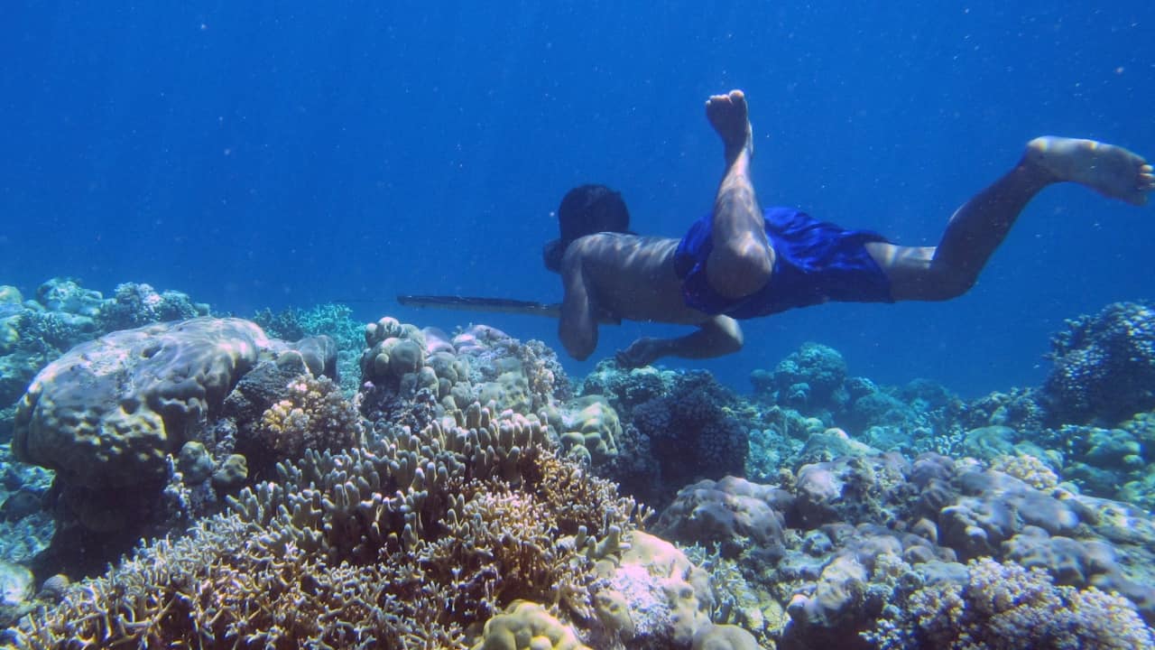 Bajau People: Meet the Sea Nomads of Indonesia Who Live on Water and Fear the Land