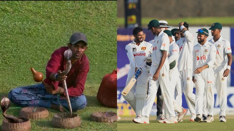 20250621175307_cricket-.jpg?impolicy=website&width=770&height=431