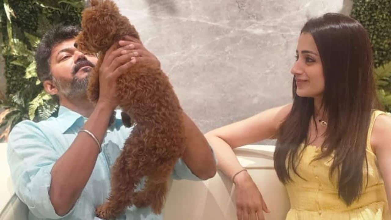 Trisha shares sweet birthday wish for "bestest" Thalapathy Vijay on his 51st birthday, shares unseen pic