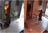 Shocking video shows 2 people escape massive LPG gas cylinder blast after leak