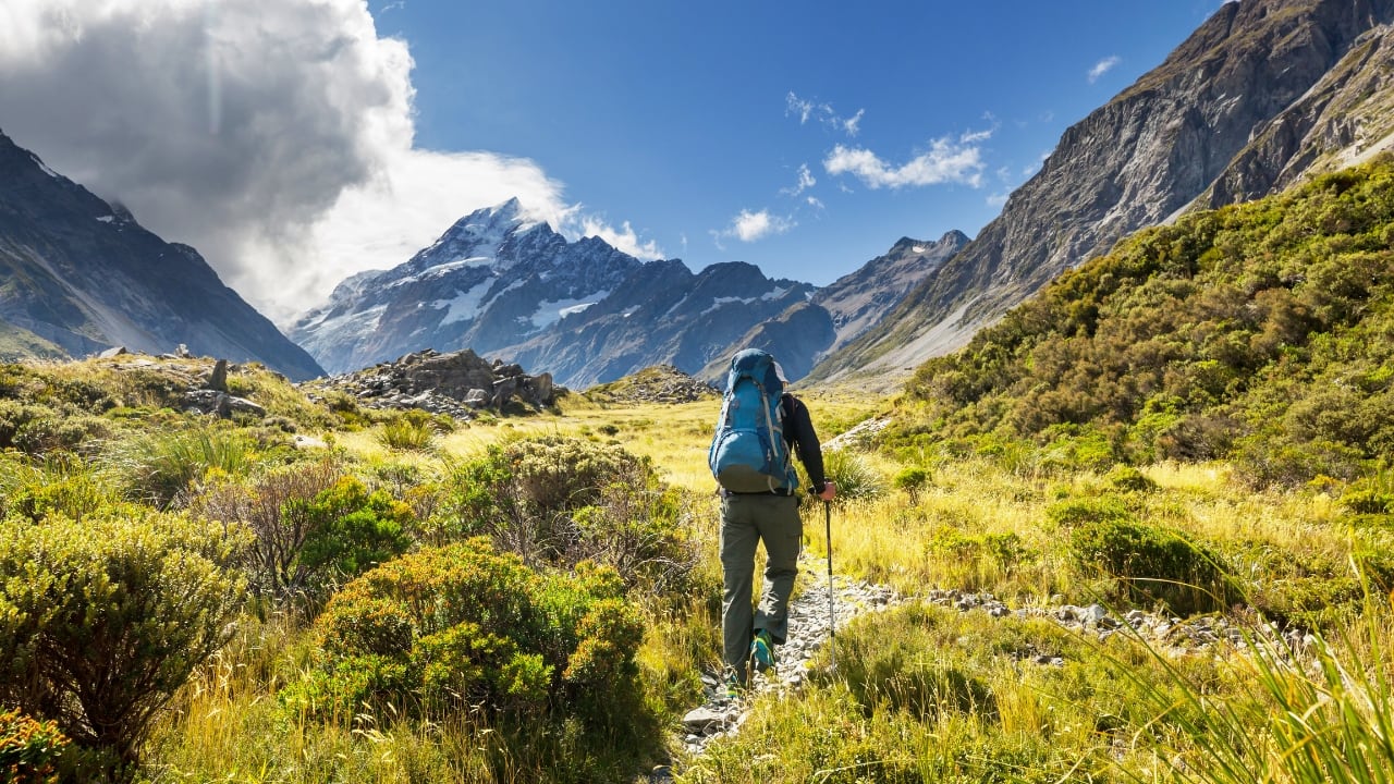 New Zealand (Image: Canva)