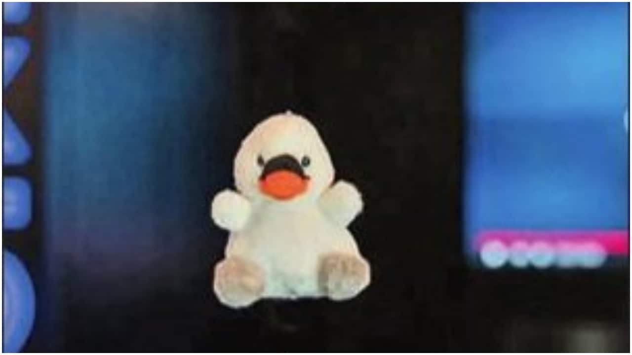 Meet Joy, swan soft toy travelling to space with Shubhanshu Shukla. What it symbolises