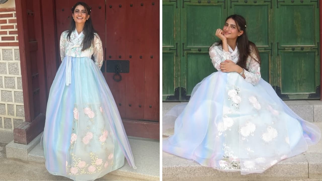 Palak Tiwari in Korea (Images: @palaktiwarii/Instagram)
