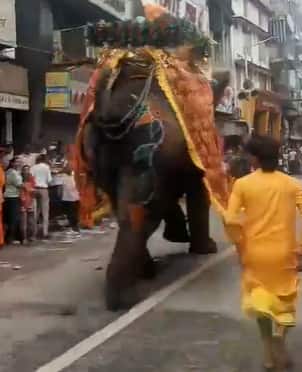 2 injured as elephants go berserk during Jagannath Rath Yatra in Ahmedabad