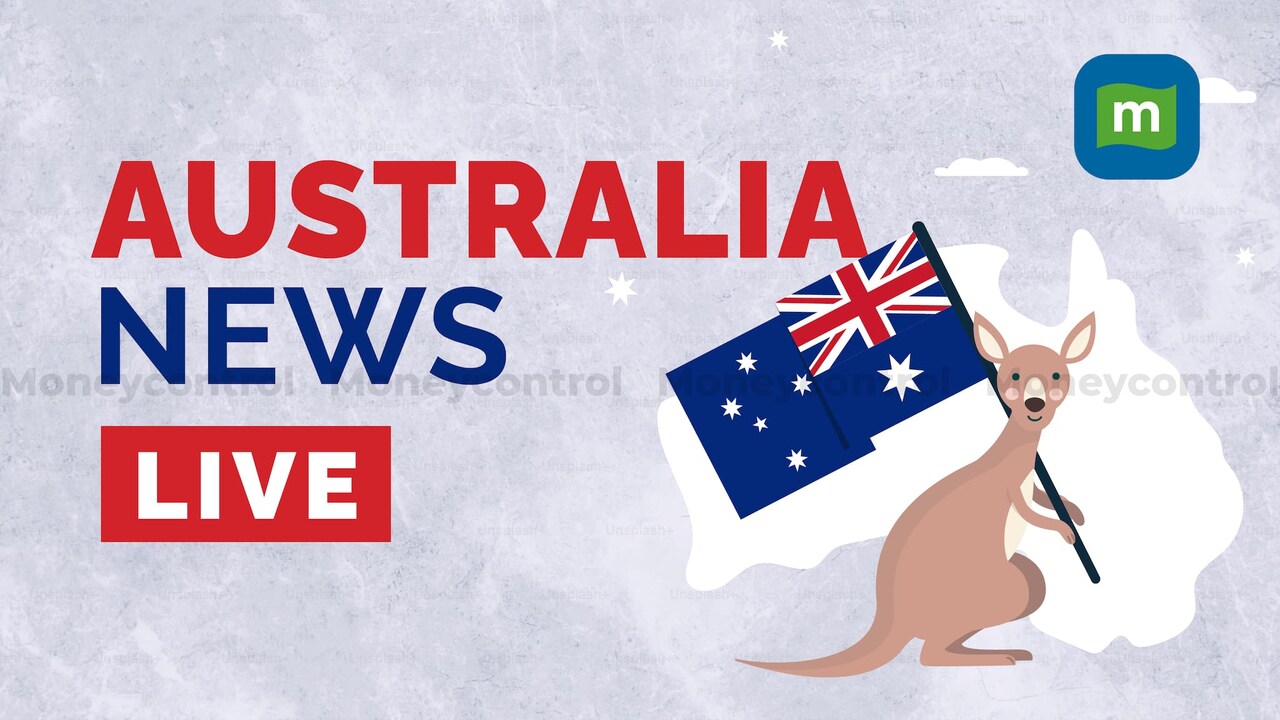 Australia News Live: New research reveals complexity of sponge-hunting ...