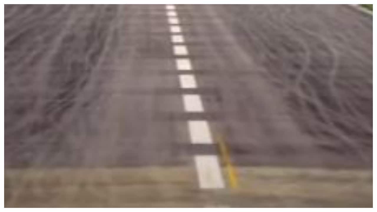 Mother, son fraudulently sold IAF airstrip in Ferozepur, Punjab