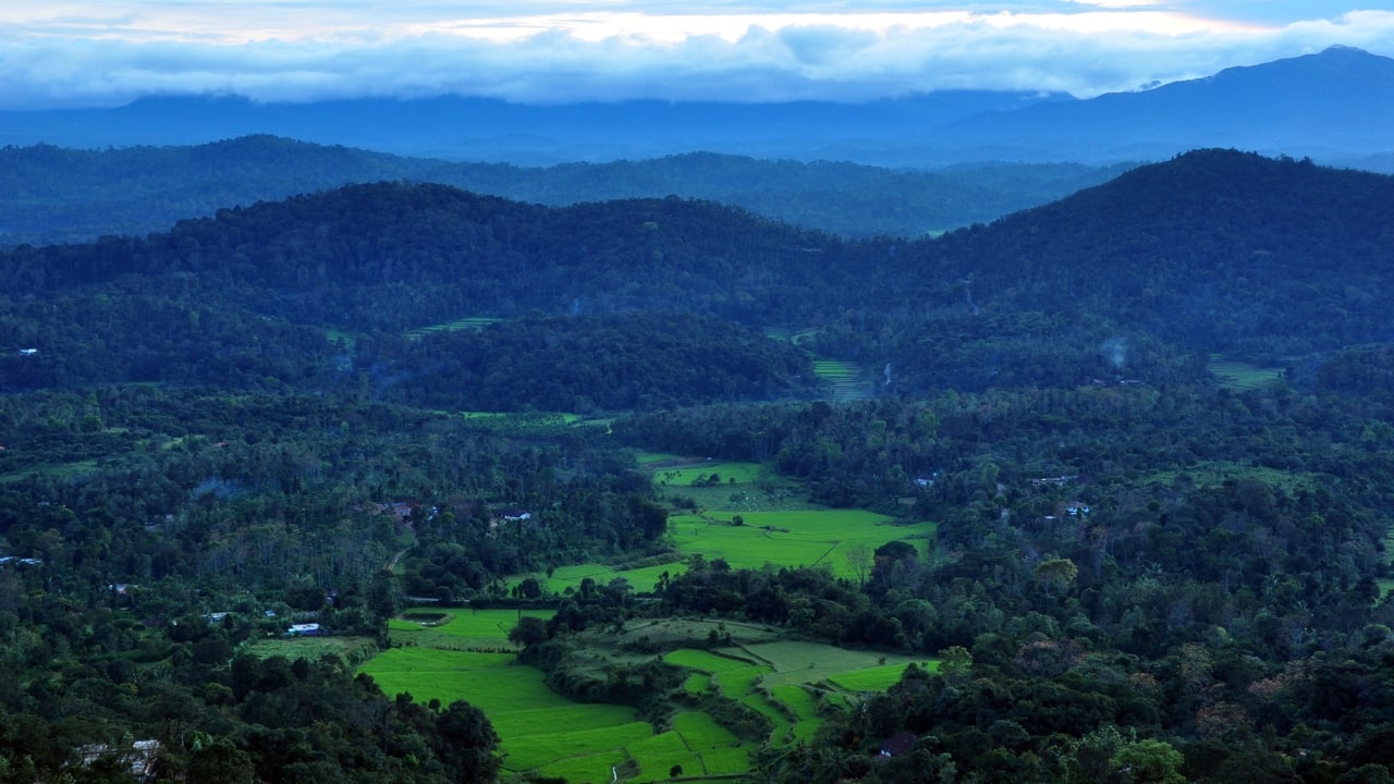 7. Coorg This Kodagu hill station in Karnataka dons a fresh coat of green, with coffee plantations steaming under soft rains and waterfalls cascading with renewed force. The air smells of wet earth and roasted beans—a perfect pairing for monsoon musings. (Image: Canva)