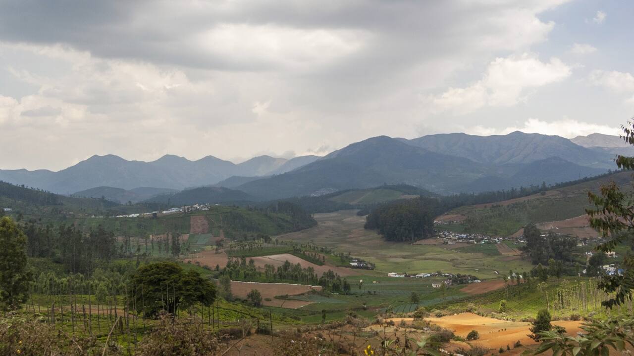 10. Nilgiris Often overshadowed by its more famous neighbours, the Nilgiri Hills stir to life in the monsoon. Shola forests, tea trails, and secret glades invite those inclined to wander without reason. (Image: Canva)