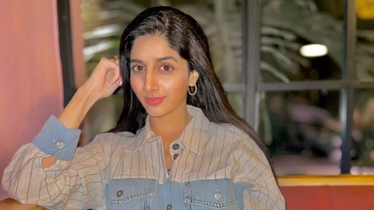 Ban on Pakistani actors' social media handle lifted: Mawra Hocane's profile visible to Indian users post Pahalgam attack