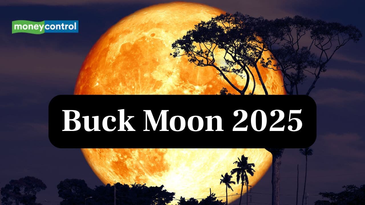 Buck Moon to Illuminates July Nights: The Buck Moon will become full on 11 July 2025 at 02:06 UTC—don't miss this breathtaking midsummer moon event! (Image: Canva)