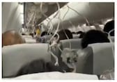 'Legs are still shaking': Japan Airlines flight falls 26,000 feet, passengers recall terrifying moment