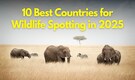 10 best countries for wildlife spotting in 2025