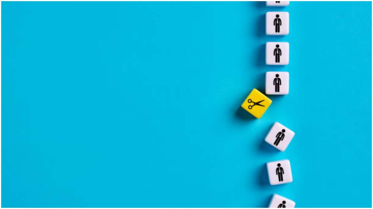 Creators, plumbers could out-earn white collar workers, says IIM alumnus: 'Don't be shocked'