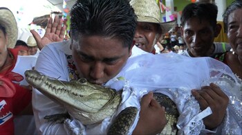 In this June 2023 photo, Victor Hugo Sosa, Mayor of San Pedro Huamelula, kisses a spectacled caiman (Caiman crocodilus) called "La Niña Princesa" ("The Princess Girl") before marrying her in San Pedro Huamelula, Oaxaca state, Mexico.(Image credit: AFP)