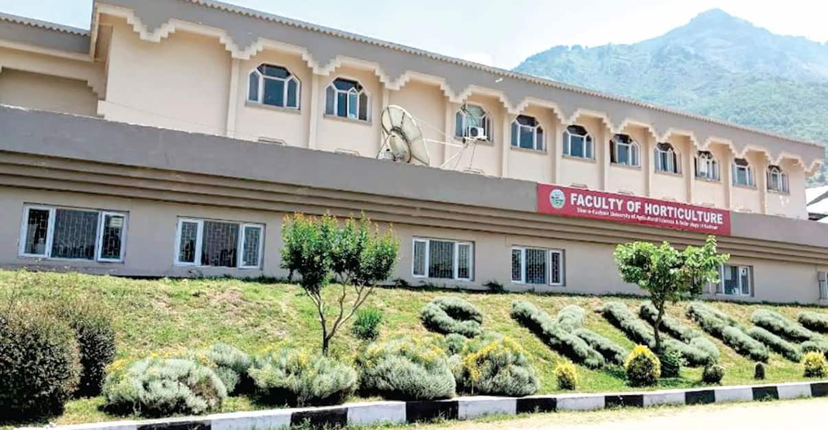 SKUAST Kashmir Result 2025: UET-UG Entrance Exam Result Announced at skuastkashmir.ac.in — Direct Link, How to Check