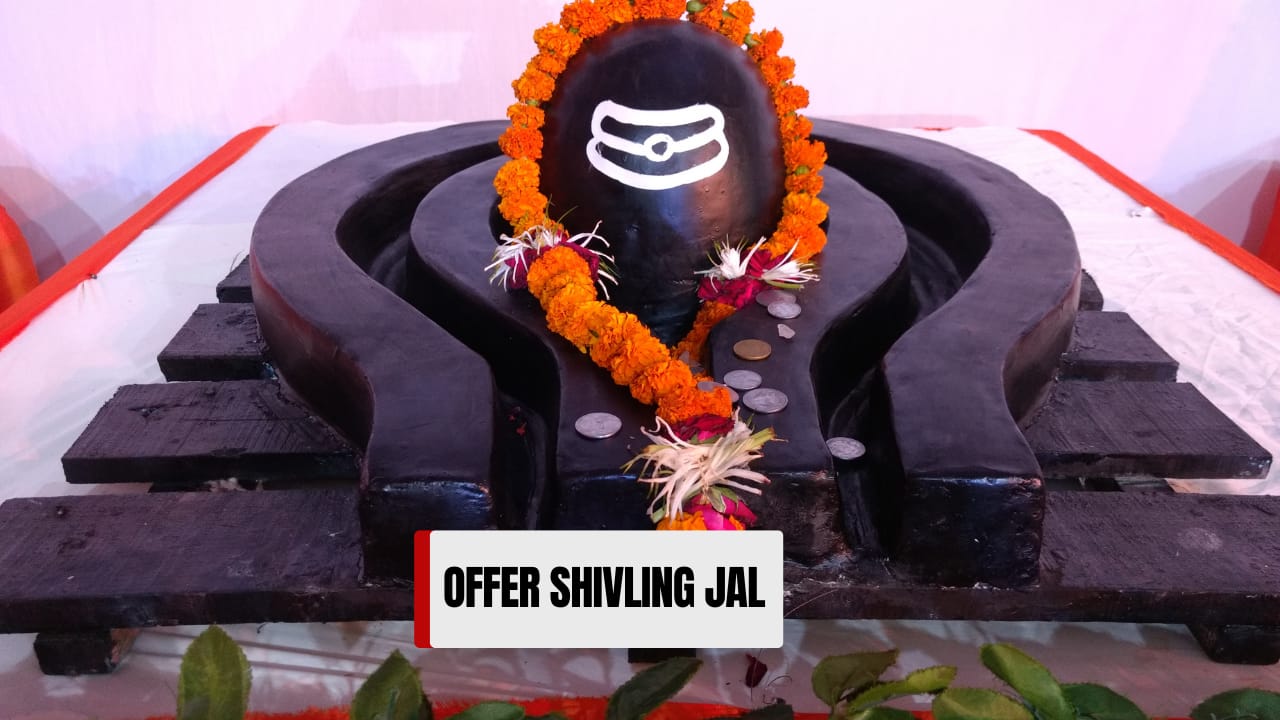 Offer raw milk, water, and bilva leaves to a Shivling. These three are Lord Shiva’s favorite and bring peace and blessings. (image: canva)