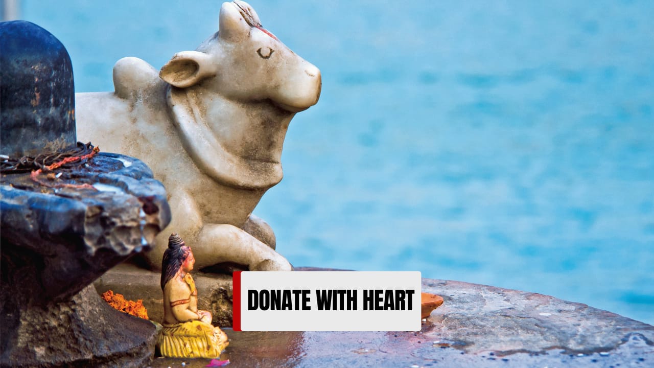 Donate food, clothes, or money to the needy. Charity done on Sawan Mondays multiplies your good karma. (image: canva)