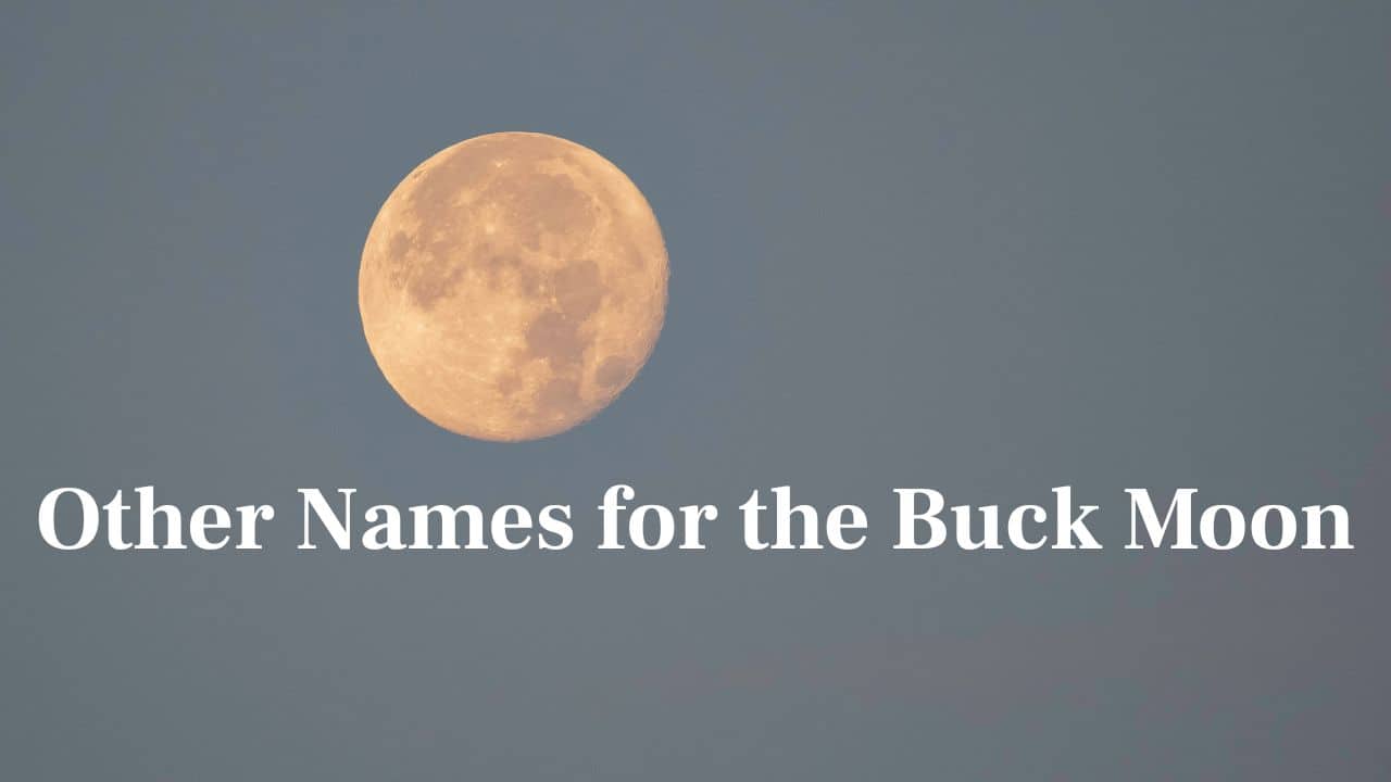 Other Names for the Buck Moon: Every culture on Earth has its own special name for this Full Moon—each full of significance and connected to rhythms of the seasons. (Image: Canva)