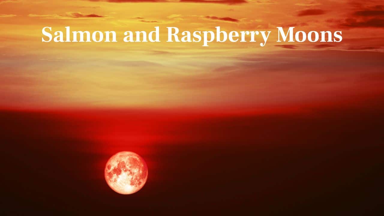 Salmon and Raspberry Moons: Other peoples called it Salmon Moon or Raspberry Moon, identifying the fish and summer fruits that were plentiful at this time. (Image: Canva)