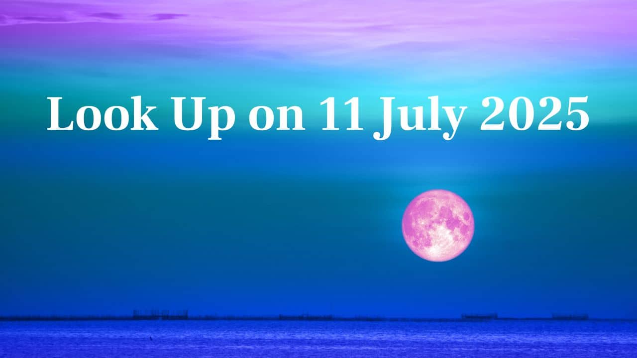 Look Up on 11 July 2025: Save the date! Take a peek outside and see the radiant Buck Moon rise—a stunning reminder of summer's strength and meaning. (Image: Canva)