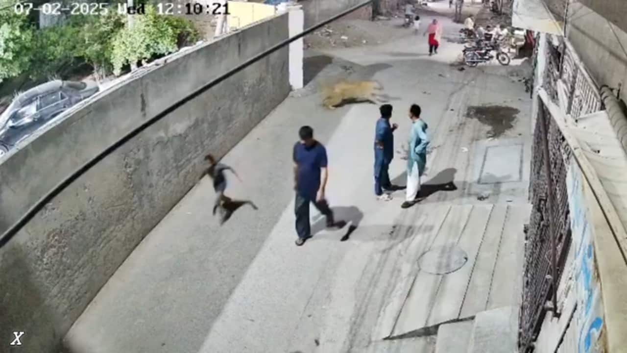 Pet lion escapes in Pakistan, attacks woman and children on busy street | Video