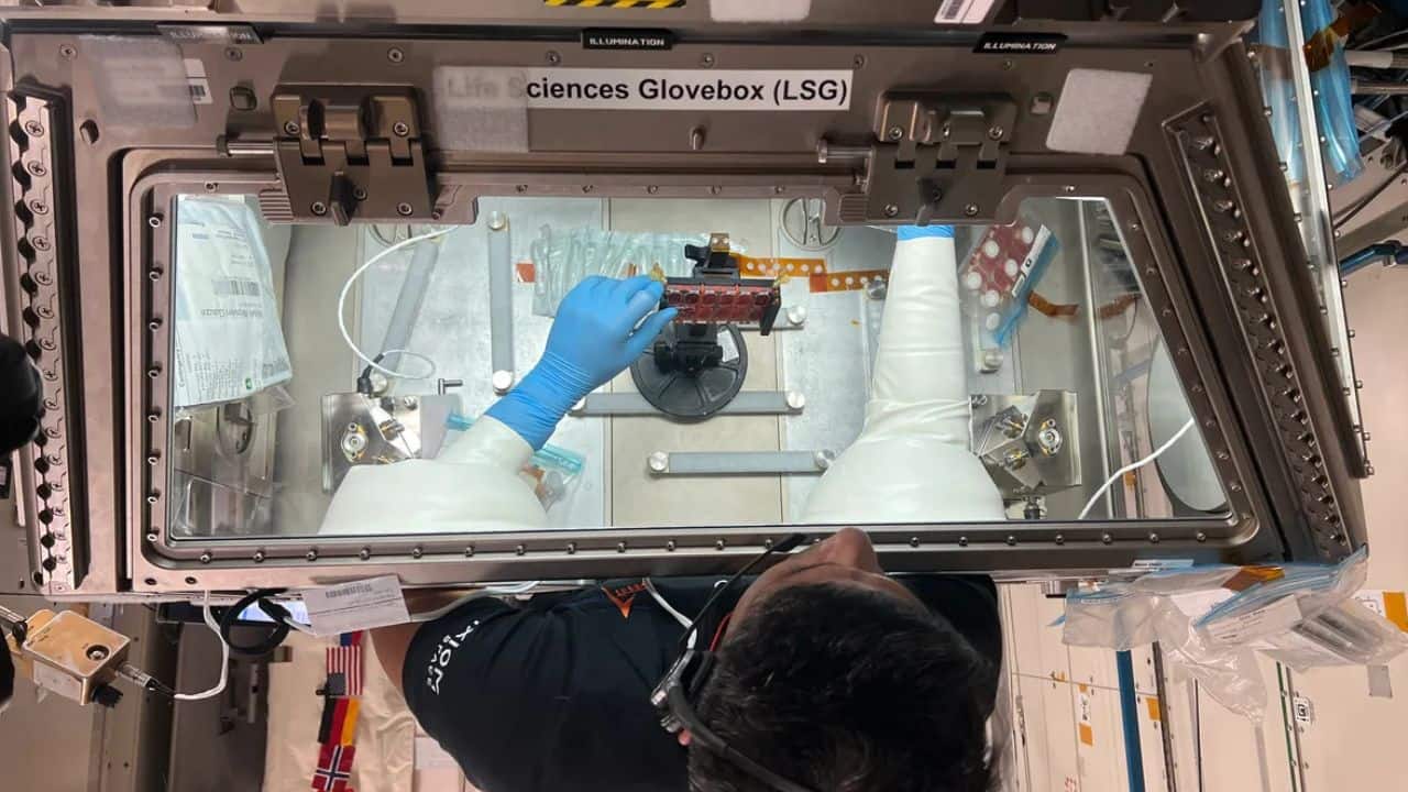 Axiom-4 Day 10: What Shubhanshu Shukla and his crewmates are doing aboard the ISS